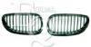 EQUAL QUALITY G0285 Radiator Grille